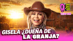 ¡LA BODA DEL AÑO! ¿YAHAIRA PLASENCIA SE CASA? | Q'BOCHINCHE | +QTV