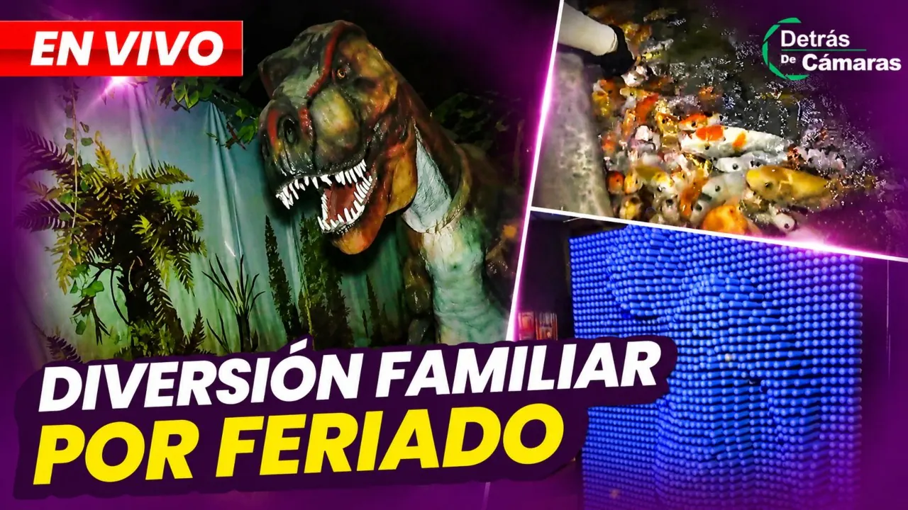 Reproducir: 🟣 EN VIVO - DIVERSIÓN FAMILIAR POR EL FERIADO – Panamericana TV