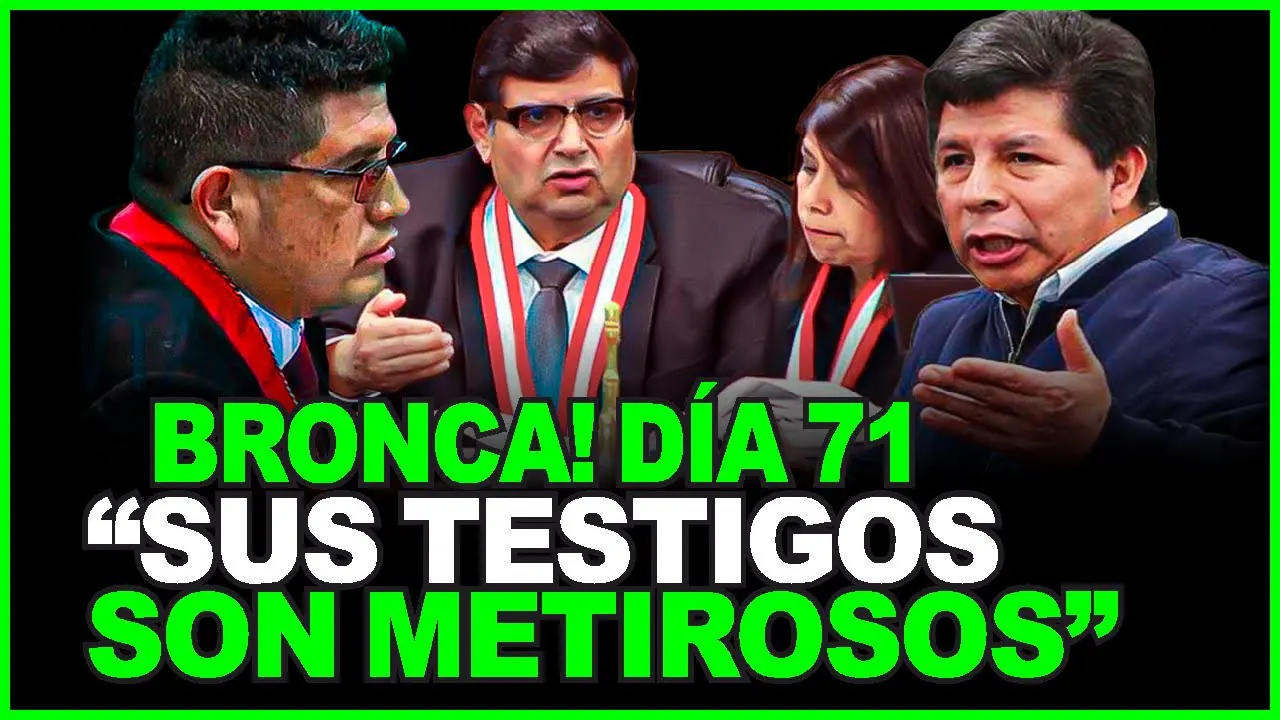 Reproducir: 🔥AUDIENCIA 71 DEL JUICIO A PEDRO CASTILLO: ETAPA PROBATORIA FINAL (REBELIÓN)