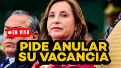 Dina Boluarte pide al PJ anular su vacancia: Cuáles son los argumentos y los efectos? I EN VIVO