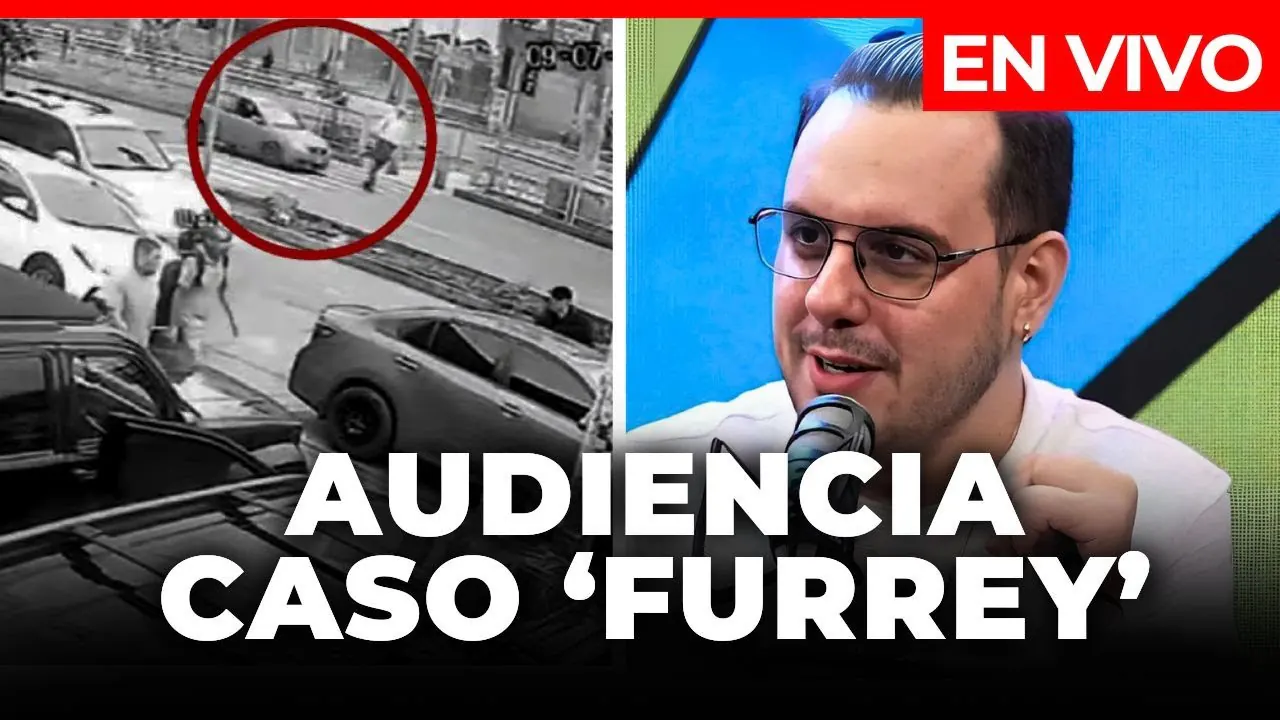 Reproducir: 🔴Audiencia caso ‘Furrey’ en vivo: piden prisión preventiva contra conductor que lo atropelló