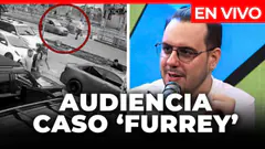 Audiencia caso ‘Furrey’ en vivo: piden prisión preventiva contra conductor que lo atropelló