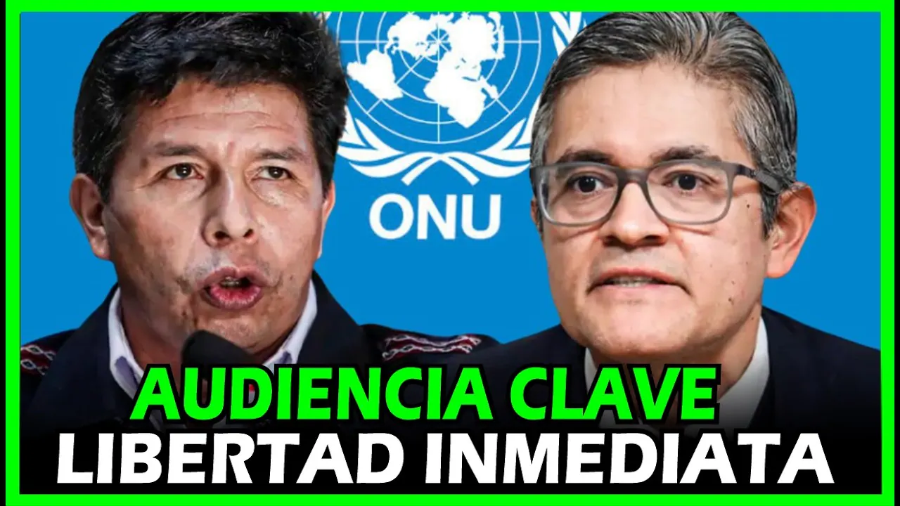 Reproducir: LIBERTAD INMEDIATA- ONU ! EX-FISCAL JOSÉ D. PEREZ DEFIENDE A PDTE PEDRO CASTILLO EN HABEAS CORPUS
