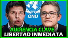 LIBERTAD INMEDIATA- ONU ! EX-FISCAL JOSÉ D. PEREZ DEFIENDE A PDTE PEDRO CASTILLO EN HABEAS CORPUS