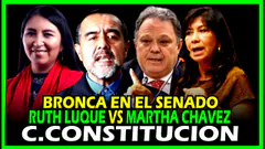 ÚLTIMO MINUTO: DEBATEN EN C. de CONSTITUCIÓN : PLAN DE TRABAJO, CONSULTIVOS AD HONOREM Y OTROS