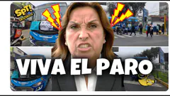 RAJE FREE: Dina y sus ministros quedaron payasos