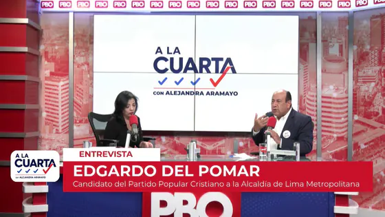 PBO EN VIVO