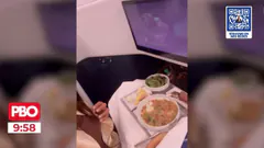 PBO EN VIVO