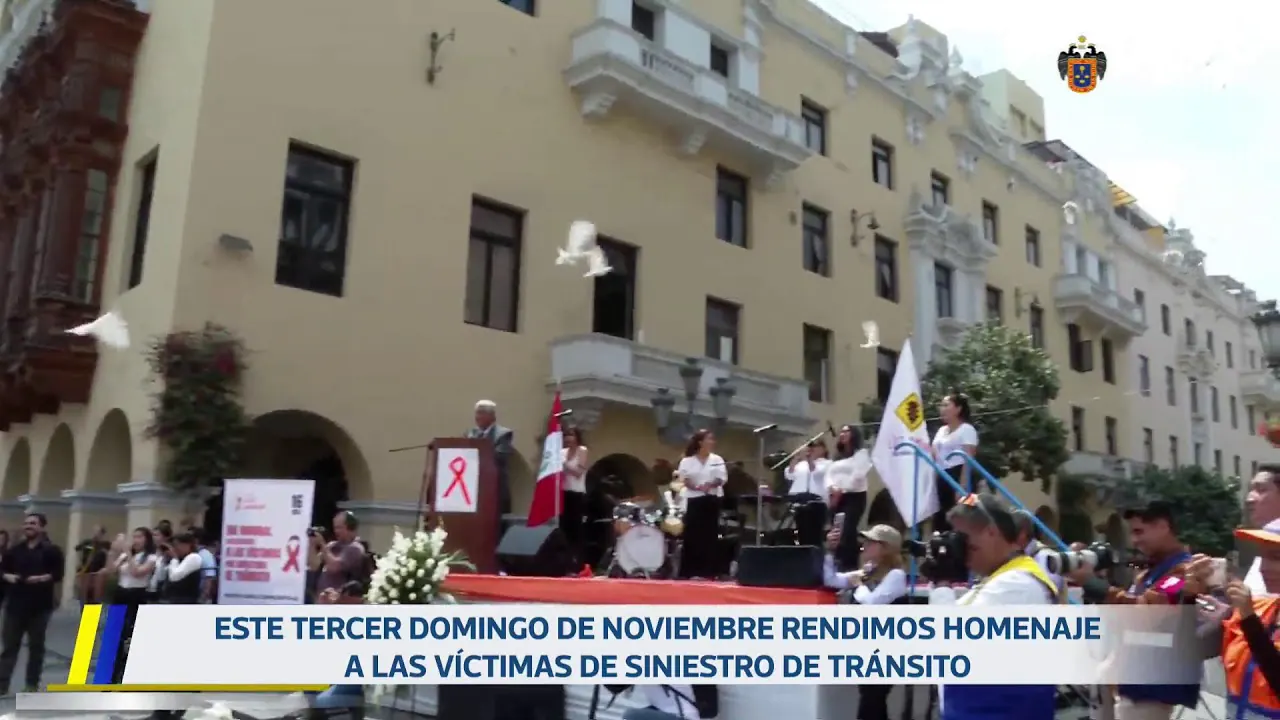 Reproducir: Conmemoración a las víctimas de los siniestros de tránsito | 16 de noviembre.