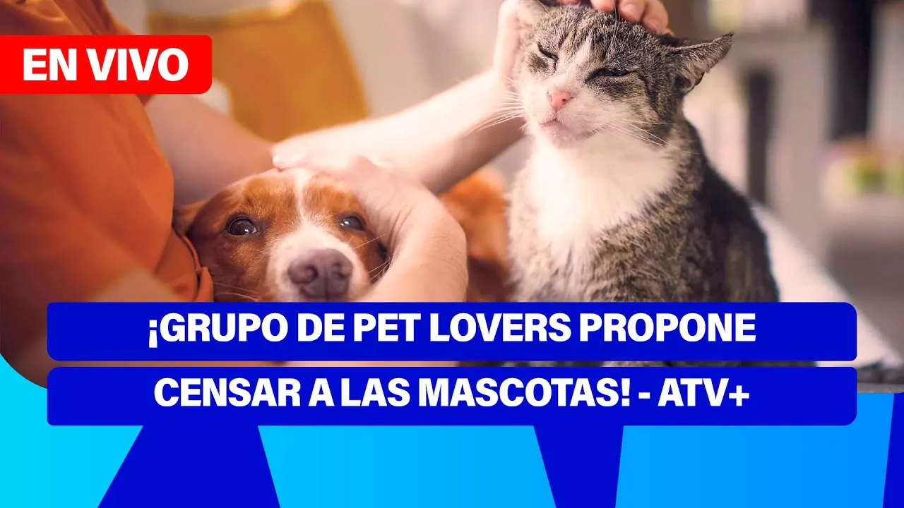 Reproducir: De 5 a 7 🎧✨ | ¡GRUPO DE PET LOVERS PROPONE CENSAR A LAS MASCOTAS! - ATV+