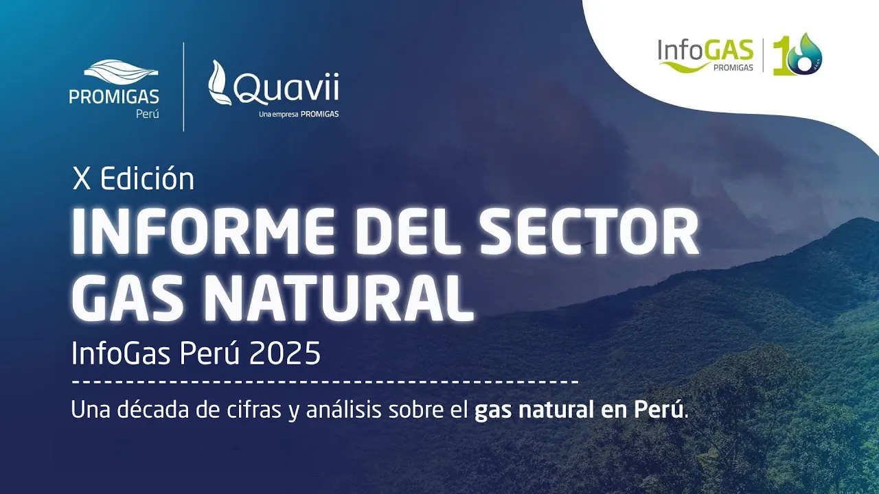 Reproducir: Presentación X edición del sector Gas Natural
