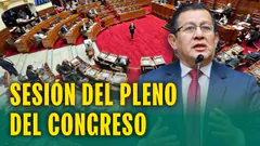 SESIÓN DEL PLENO DEL CONGRESO 30 DE ABRIL DE 2025