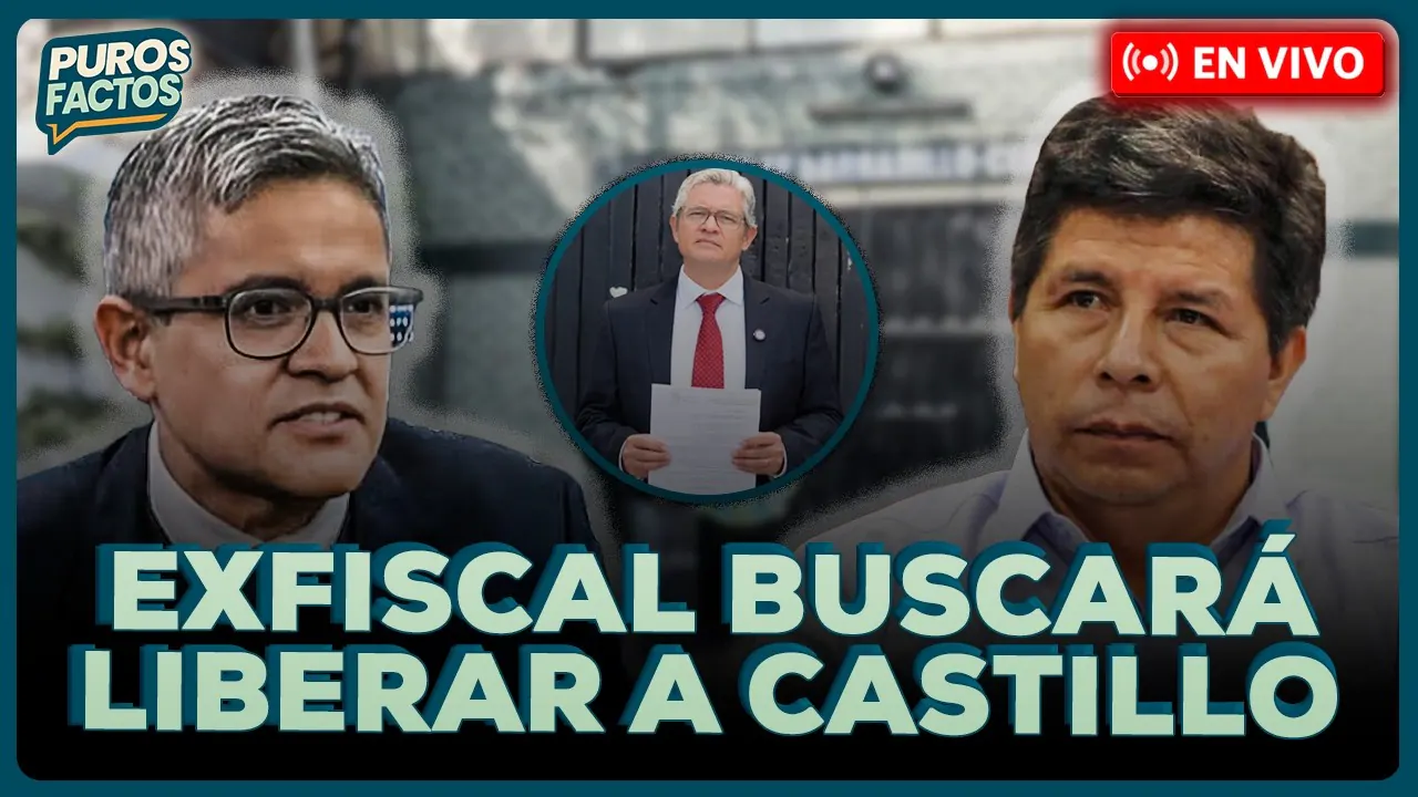 Reproducir: 🚨 #ENVIVO | JOSÉ DOMINGO PÉREZ BUSCARÁ LA LIBERTAD DE PEDRO CASTILLO #PUROSFACTOS