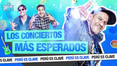 LOS CONCIERTOS MAS ESPERADOS | NADIE SE SALVA