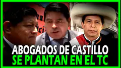 ATENCIÓN! ABOGS EXIGEN HORA Y FECHA DE AUDIENCIAS EN EL EL TC A FAVOR DE PDTE PEDRO CASTILLO