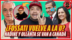 ME RETIRO DEL INTERNET : VUELVE FEDELOBO l LOCO HDC
