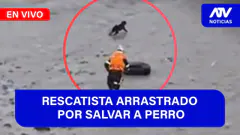 Fe de Erratas : RESCATISTA ARRASTRADO POR SALVAR A PERRO - ATV+