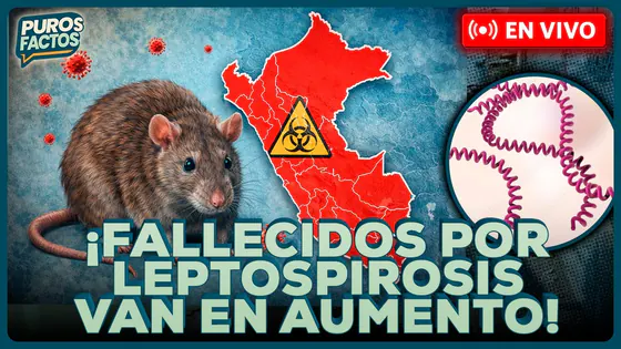 #ENVIVO | ¡EN AUMENTO! FALLECIDOS Y CASOS POR LEPTOSPIROSIS SIGUEN EN ALZA #PUROSFACTOS #FEEG2026