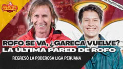 EL ÚLTIMO BAILE DE ROFOTITO | BOTAN A GARECA DE CHILE | LA PELOTITA PARADA