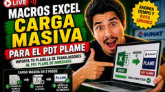 Macros EXCEL carga masiva para el PDT PLAME GRATIS