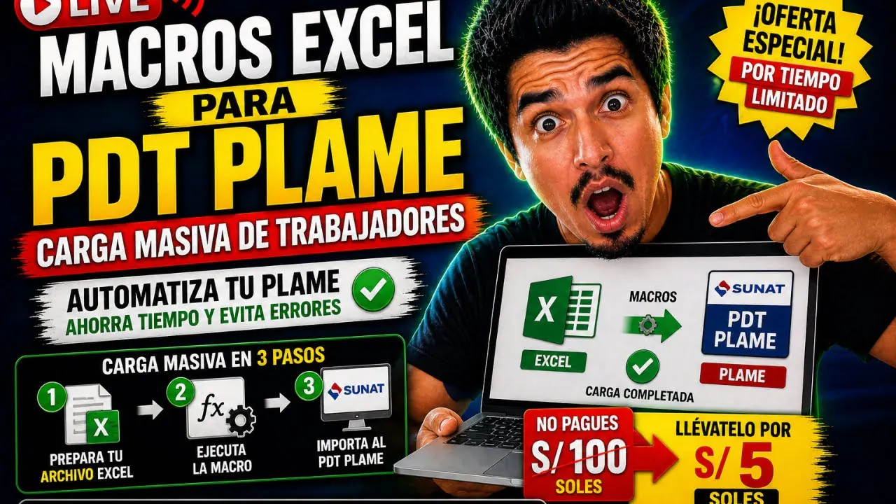 Reproducir: Macro Excel para PDT PLAME 2026-2027