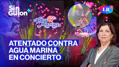 VIOLENCIA POLÍTICA EN CAMPAÑA Y DINA SE HACE CARGO | SIN GUION CON ROSA MARÍA PALACIOS