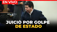 JUICIO ORAL A PEDRO CASTILLO POR REBELIÓN: testigos clave declaran | El Comercio