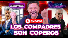Alianza y la ‘U’ siguen en la pelea internacional | #Playzontv #PedroResponde