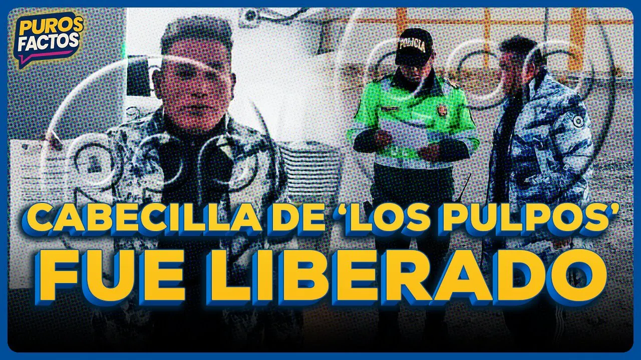 Reproducir: 🔪👮 CABECILLA DE 'LOS PULPOS' SALIÓ EN LIBERTAD #PUROSFACTOS