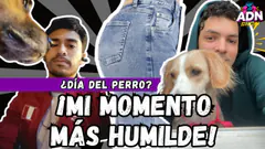 ¡NUESTRO MOMENTO MÁS HUMILDE! - ¿DÍA DEL PERRO?