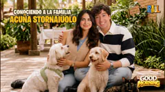 DANILONSO LA PELICULA #elchatoraul