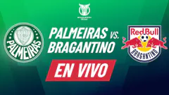 Palmeiras vs Bragantino EN VIVO por la fecha 28 del Brasileirao 2025