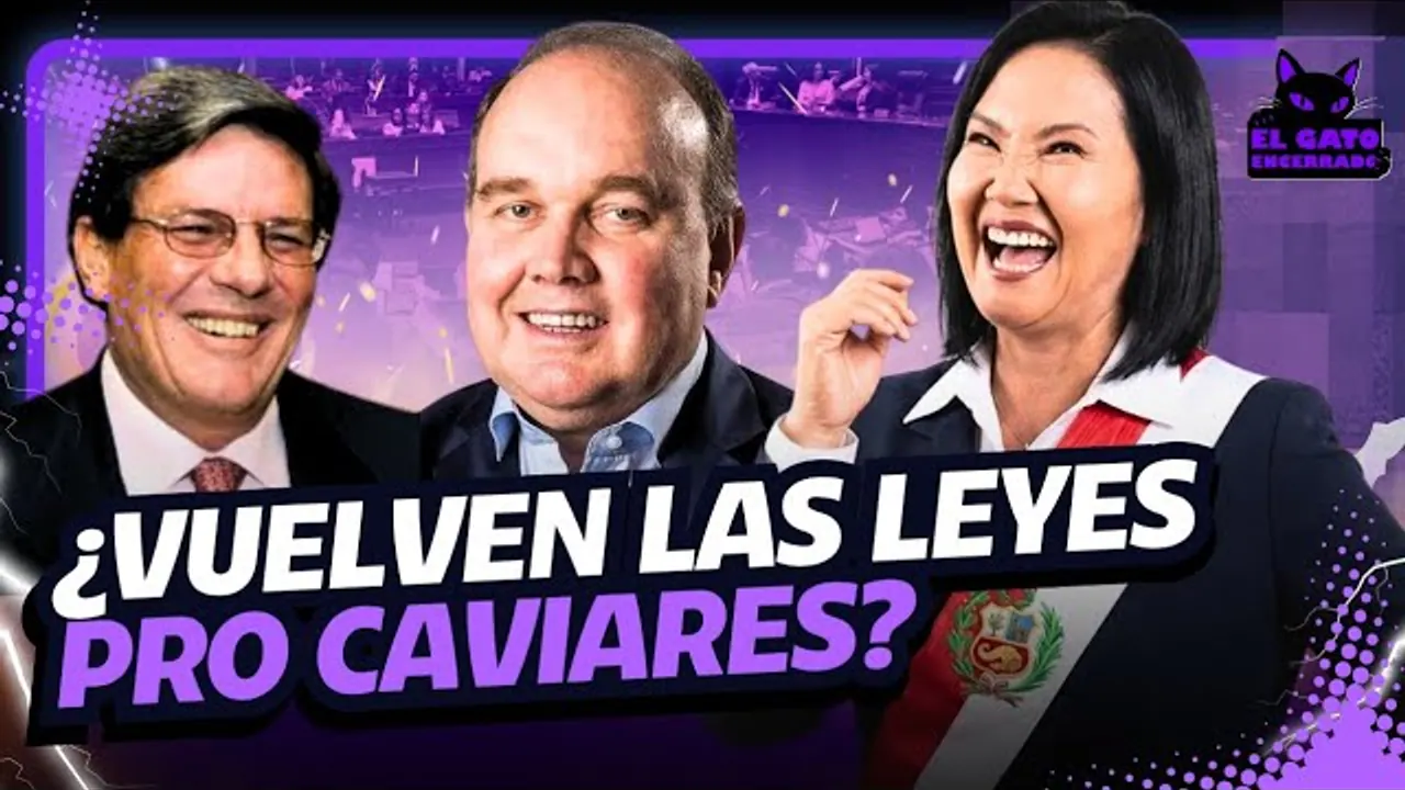 Reproducir: #ENVIVO QUIEREN VOLVER A LAS LEYES PRO CAVIARES | EL GATO ENCERRADO🐈‍⬛
