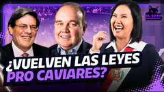 #ENVIVO QUIEREN VOLVER A LAS LEYES PRO CAVIARES | EL GATO ENCERRADO