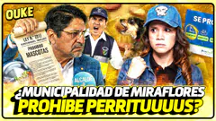 ¿ALCALDE DE MIRAFLORES NO QUIERE PERRITOS? | CELEBRAMOS DÍA DE LA MADRE FT TULITA | OUKE