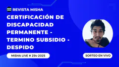 Certificación de Discapacidad Permanente - Termino Subsidio - Despido