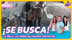 LA BELLA LUZ PIERDE MILLONARIOS CONTRATOS POR DIRECTOR M4ÑOSO #SHOWPE