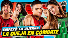 ¿LA OVEJA EN COMBATE? | ESTO ES “LA OVEJA”