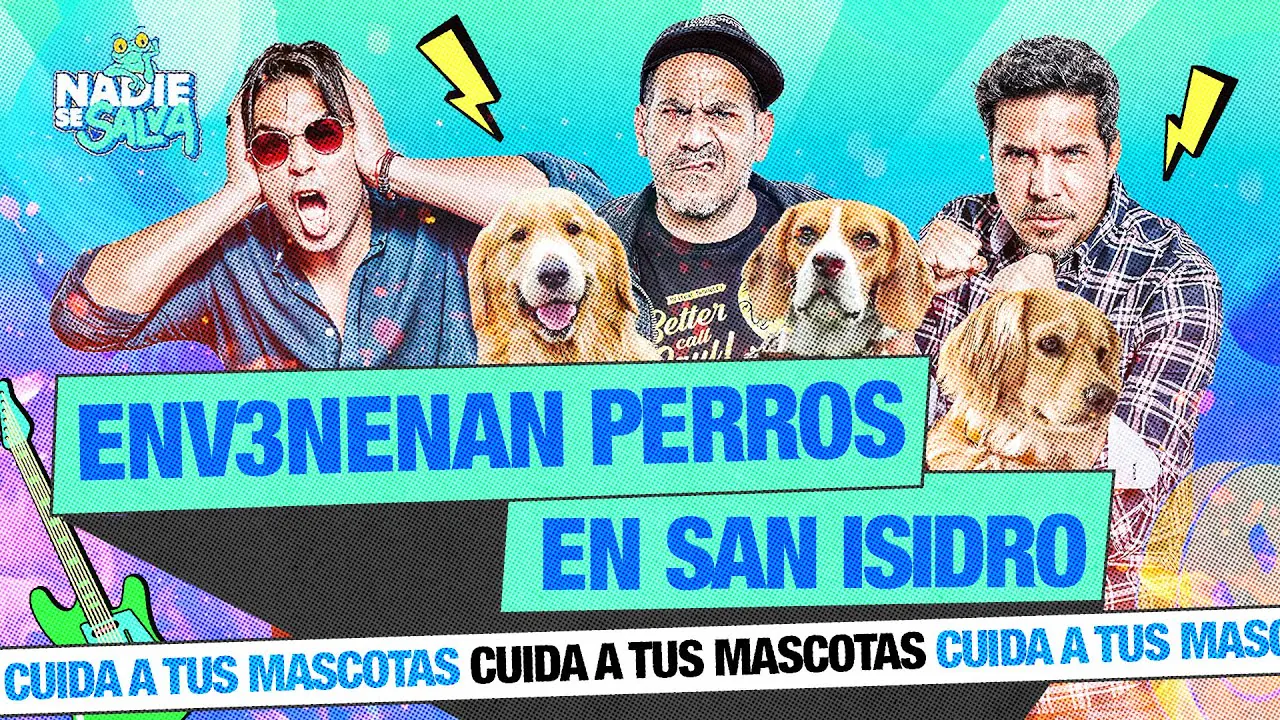 Reproducir: MASCOTAS CORREN PELIGRO EN SAN ISIDRO | NADIE SE SALVA 🐸
