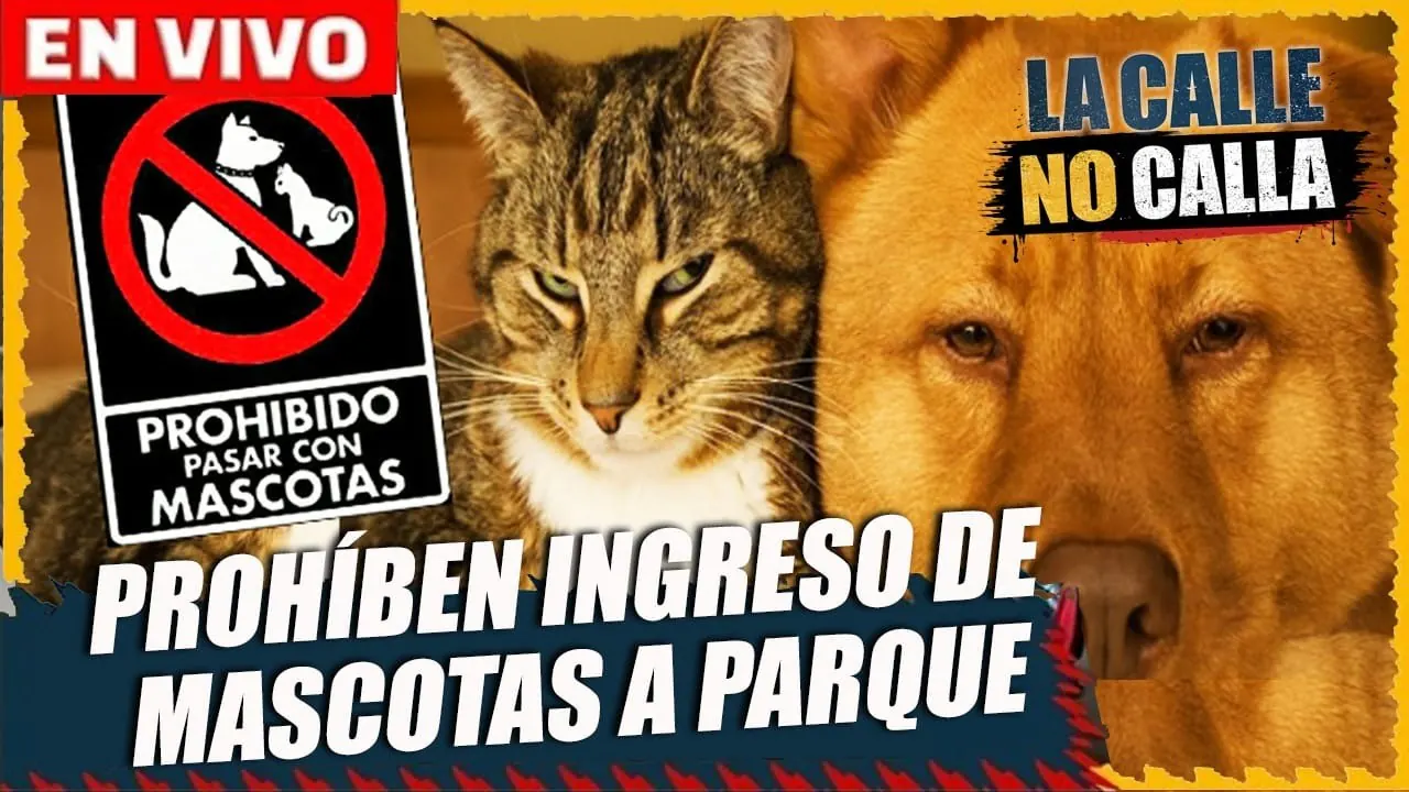 Reproducir: 🔴 EN VIVO – RESTRINGUEN INGRESO DE MASCOTAS A PARQUE | "LA CALLE NO CALLA" POR PANAMERICANA