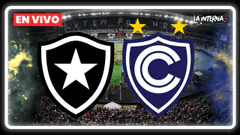 REACCIÓN EN VIVO CIENCIANO VS BOTAFOGO | LA INTERNA