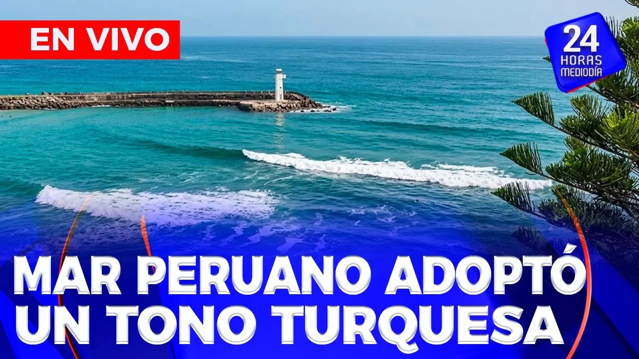 Reproducir: 🔵EN VIVO - 24 HORAS MEDIODÍA PROGRAMA COMPLETO | MARTES 29 SETIEMBRE DEL 2026