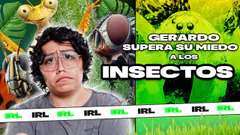GERARDO VS INSECTOS EXÓTICOS | VIERNES DE IRL | CUIDANDO EL RANCHO