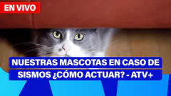 De 5 a 7 | NUESTRAS MASCOTAS EN CASO DE SISMOS ¿CÓMO ACTUAR? - ATV+