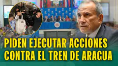 PIDEN A LA OEA EJECUTAR ACCIONES CONTRA EL TREN DE ARAGUA