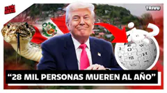 TRUMP DESATA POLÉMICA: “MILES DE PERUANOS MUEREN POR SERPIENTES” | RELACIÓN ABIERTA