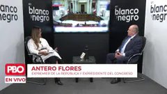 PBO EN VIVO