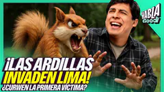 LA PRIMERA VÍCTIMA DE LAS ARDILLAS EN LIMA | ¿NOS INVADEN LAS ARDILLAS? | HABLA GOOD