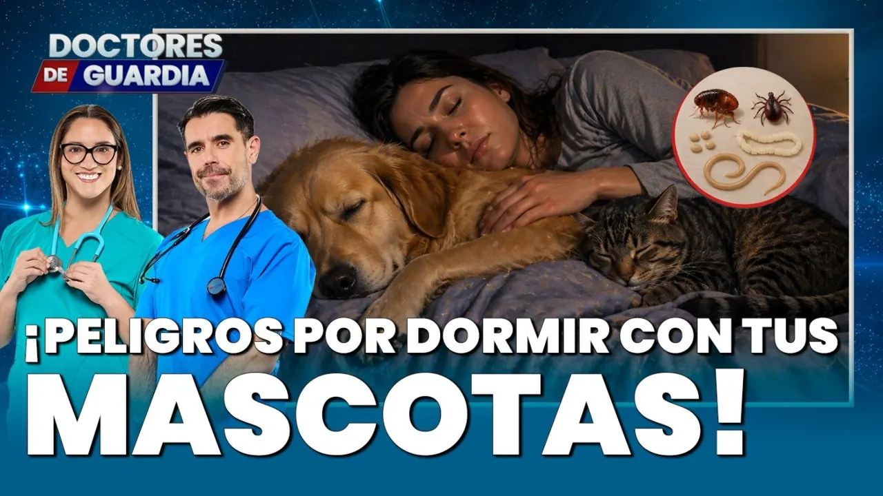 Reproducir: 🔴 EN VIVO | ¡PELIGRO POR DORMIR CON TUS MASCOTAS! – Doctores de Guardia, 22 de abril