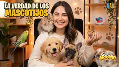 ¿TIENES UN MASCOTIJO? #elchatoraul